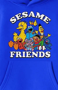 Kids Sesame Street Friends Hoodie