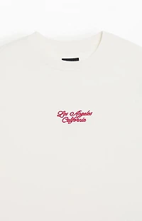 Pacsun Los Angeles Shadow Embroidered T-Shirt