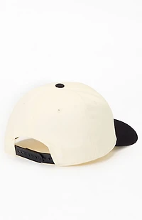 American Needle Liquid Death Roscoe Snapback Hat