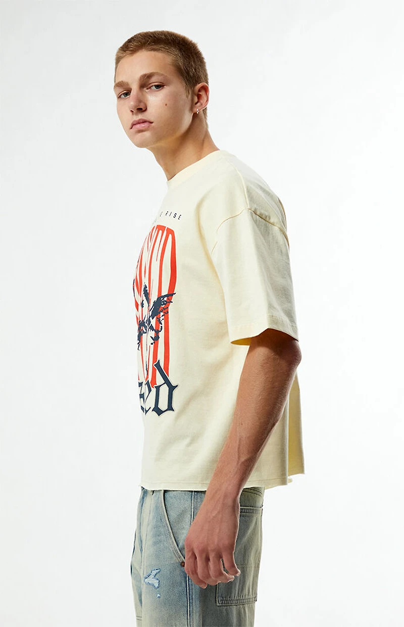 Pacsun Forever Cropped Boxy T-Shirt