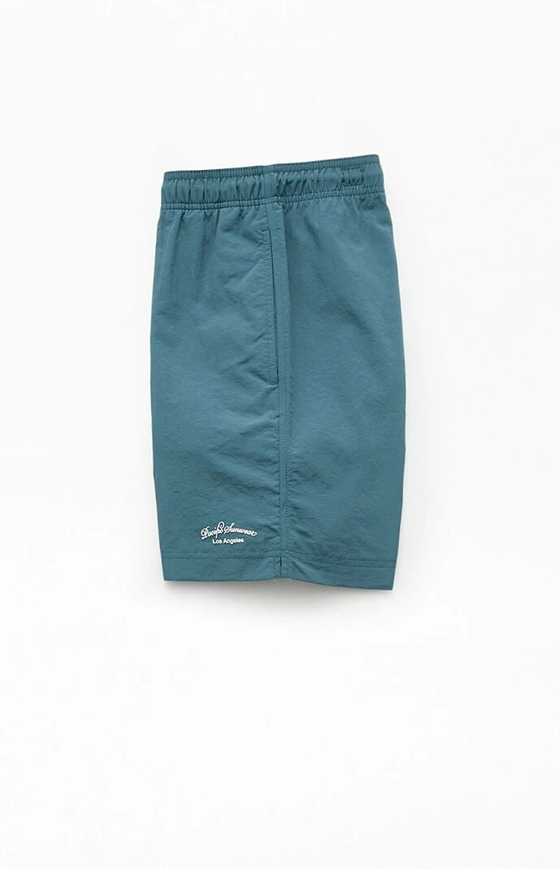 Pacsun Collegiate 6.5" Swim Trunks