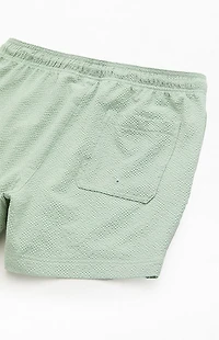 Pacsun Cali Seersucker 4.5" Swim Trunks
