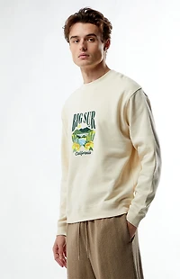 Pacsun Big Sur Embroidered Crew Neck Sweatshirt