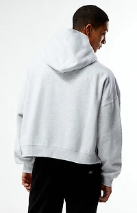 Pacsun Arcadia Puff Graphics Cropped Hoodie