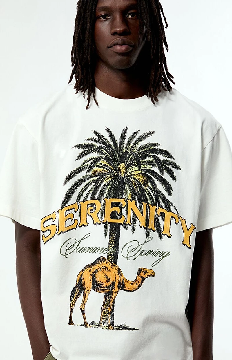 Pacsun Serenity Cropped T-Shirt