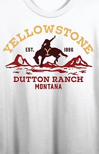 Yellowstone Protect the Land Cropped T-Shirt