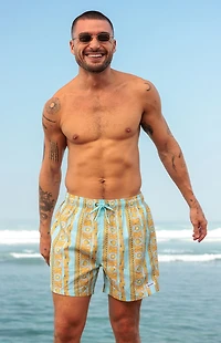 Boardies Baroque Stripe 4.5" Swim Trunks