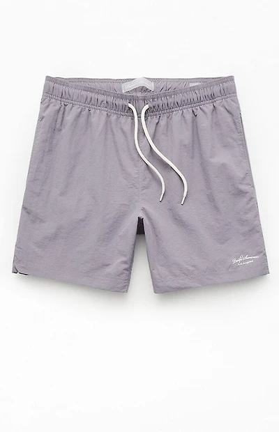 Pacsun Silver Collegiate 6.5" Swim Trunks
