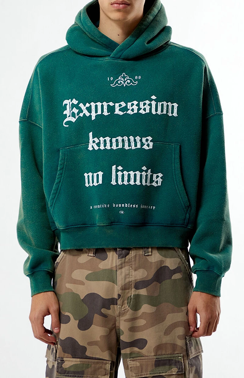 Pacsun Expression Cropped Hoodie