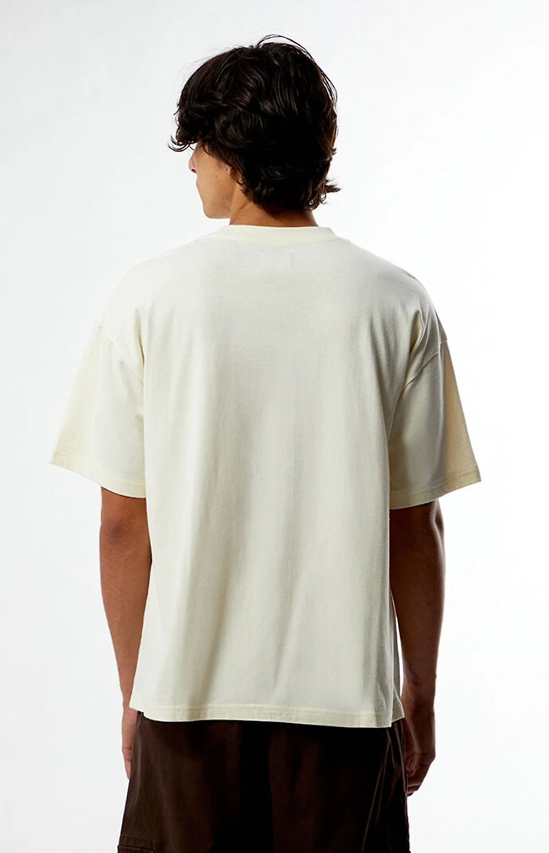 Pacsun Mother Oversized T-Shirt