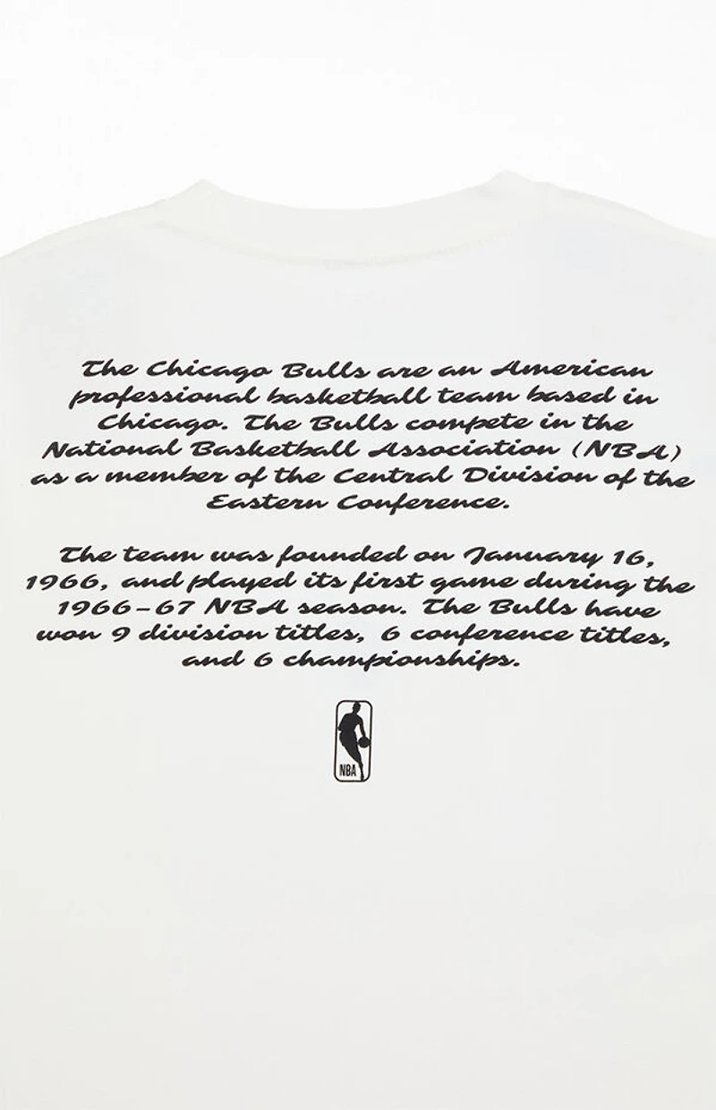 Chase B x NBA Chicago Bulls Logo T-Shirt