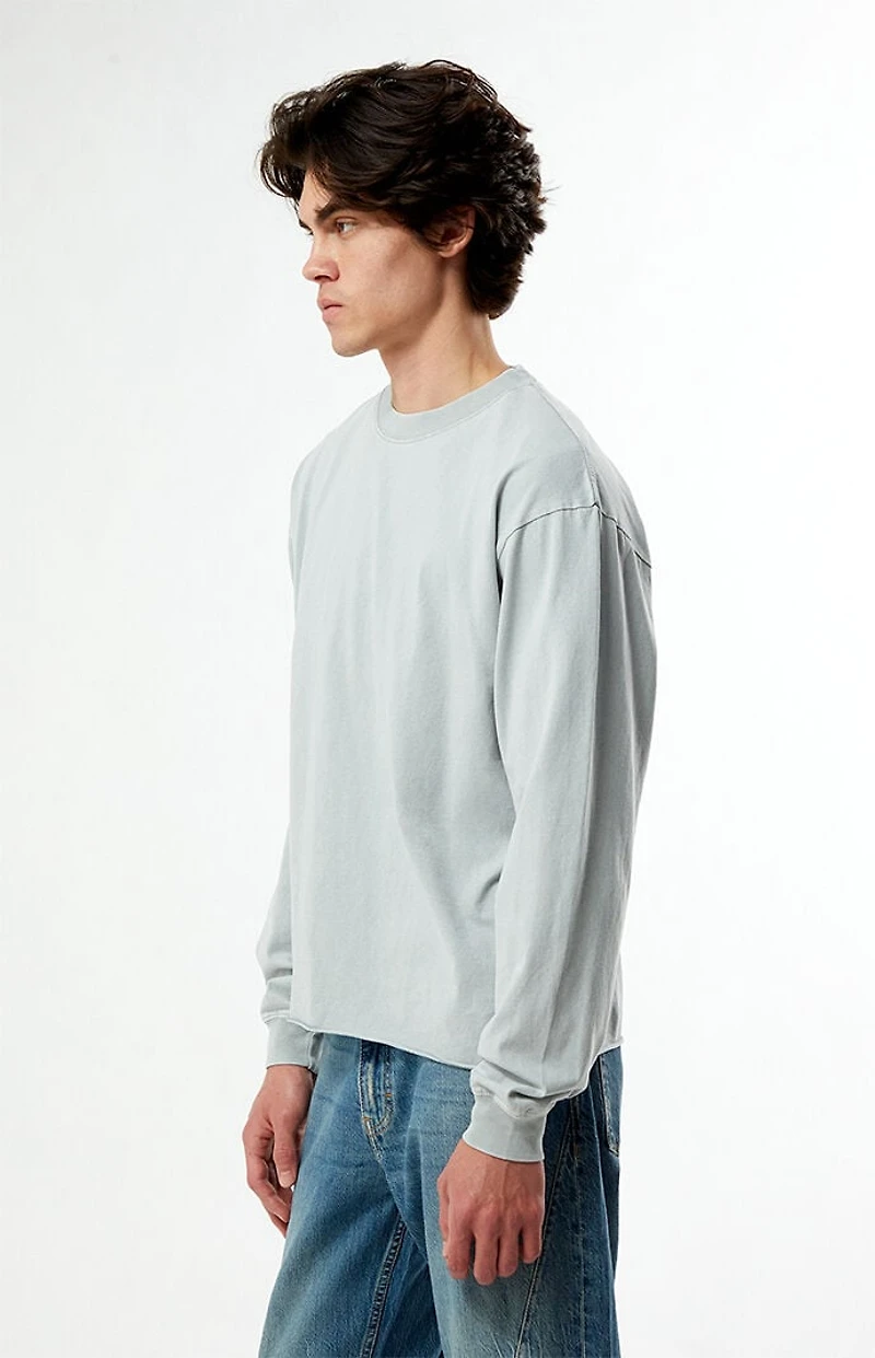 Pacsun Premium Cropped Long Sleeve T-Shirt