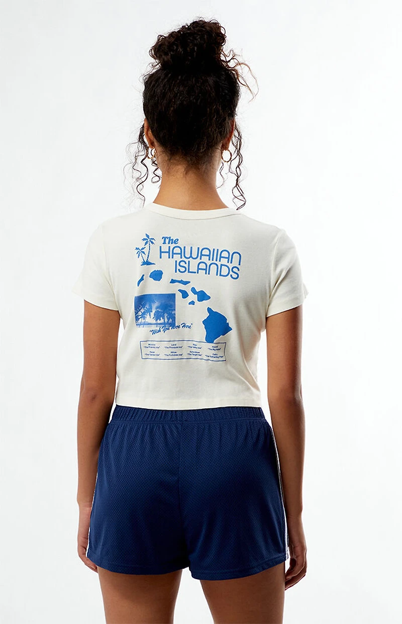 Pacsun Standard Basketball Shorts