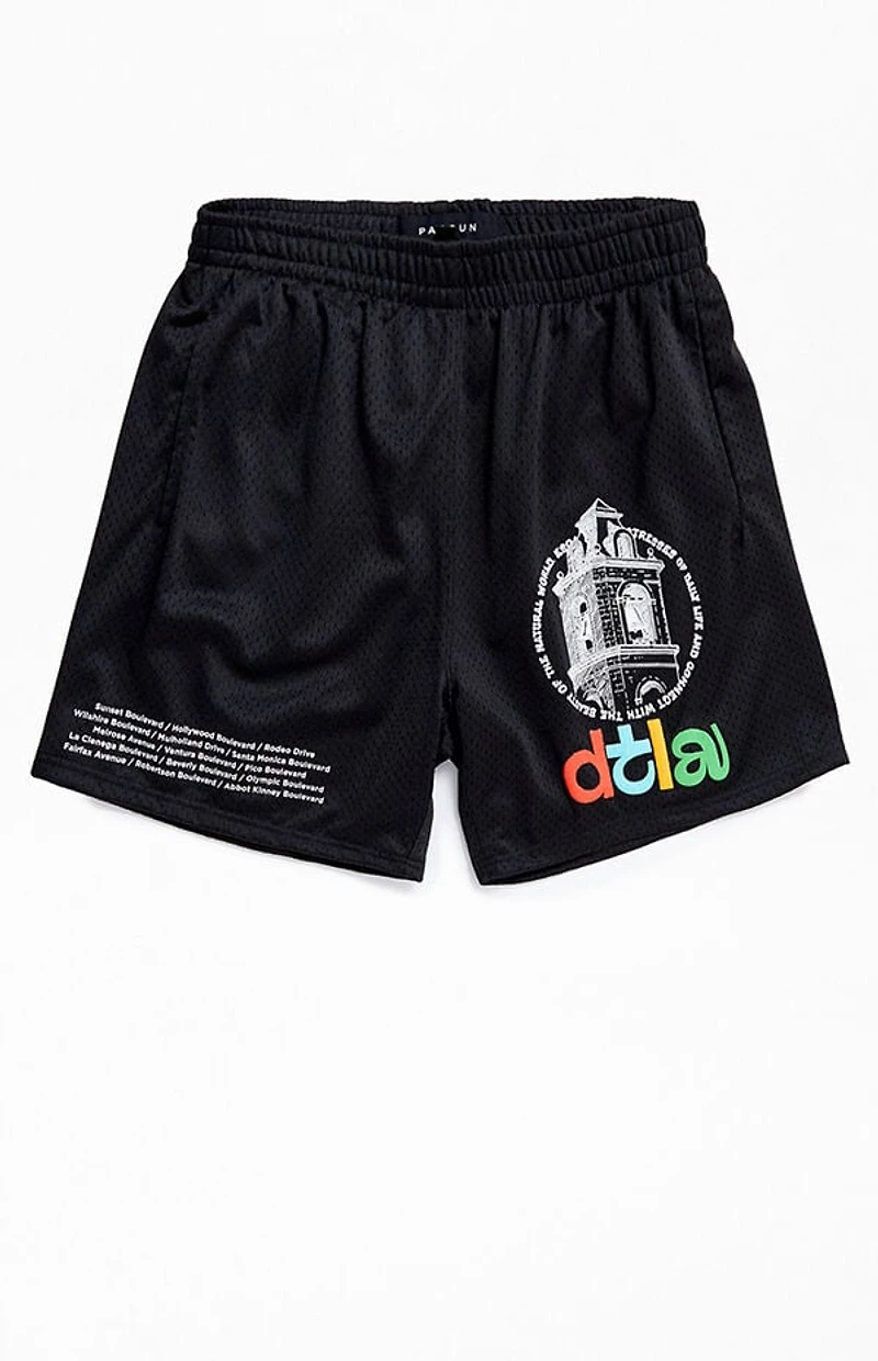 Pacsun Tower Mesh Shorts