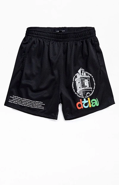 Pacsun Tower Mesh Shorts