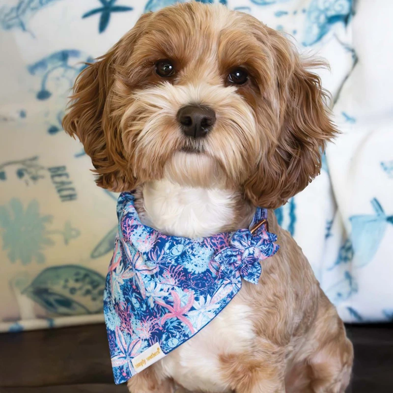 The Pawsome Pet Bandana