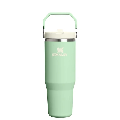 The 30oz IceFlow Flip Straw Tumbler in Pistachio