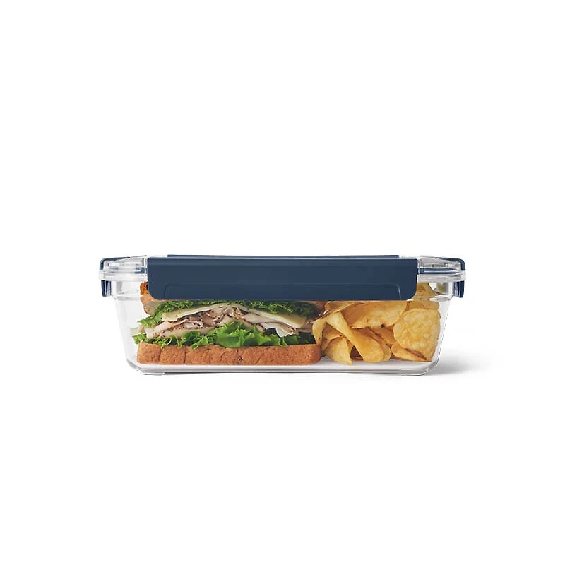 Navy Large Food Storage