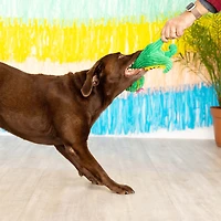 Floral T-Rex Dog Toy