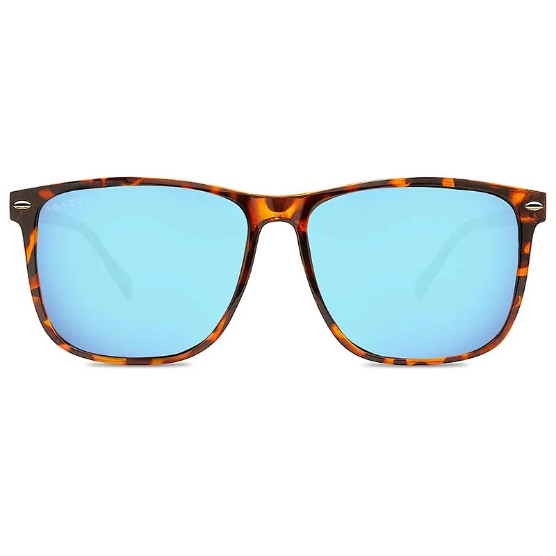 Jesse Tortoise and Blue Caribbean