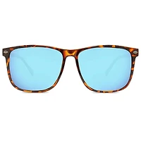 Jesse Tortoise and Blue Caribbean