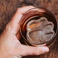 Clemson Ice Mold