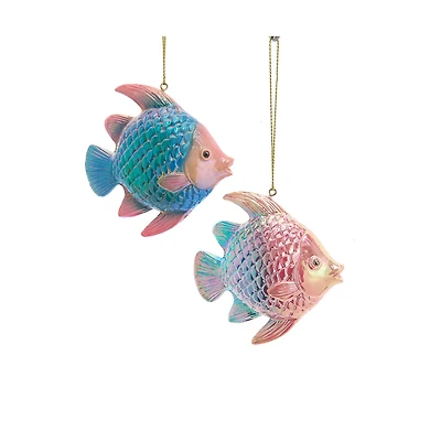 Assorted Tropical Fish Ornament