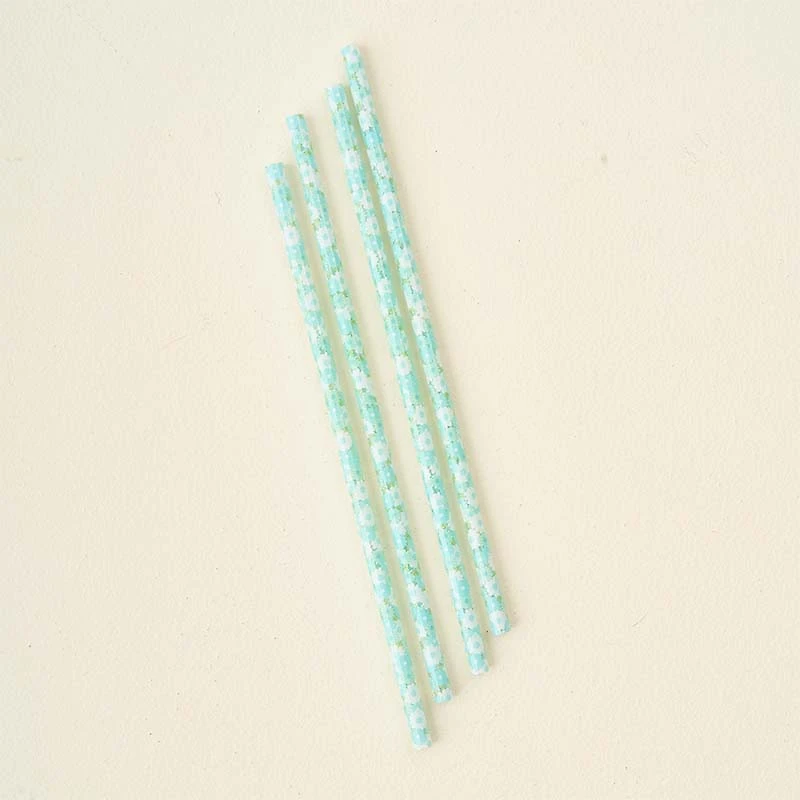 Daisy Craze Aqua 40oz Straw Set
