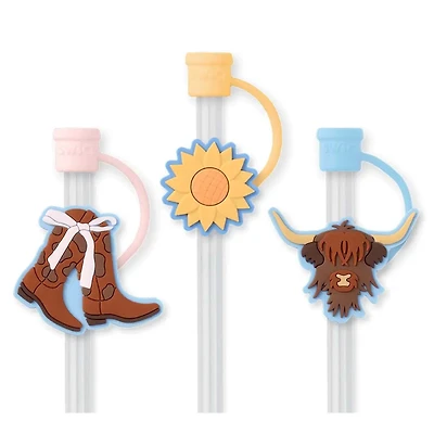 Cowgirl Coquette Straw Topper Set