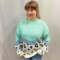 Chevron Animal Print Colorblock Pullover Sweater
