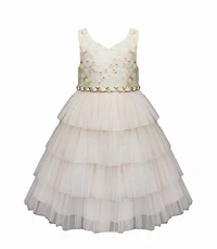 Baby Pink Full Layered  Ruffle Dress