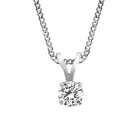Pendant with Carat Cubic Zirconia in 14kt White Gold with Chain