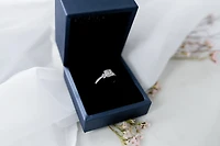 Engagement Ring with .25 Carat TW of Diamonds in 10kt White Gold