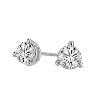 Fire of the North Stud Earrings with Carat TW of Diamonds in 14kt White Gold