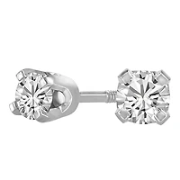 Stud Earrings with Carat TW of Diamonds in 14kt White Gold
