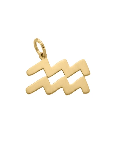 Aquarius Zodiac Charm in 10kt Yellow Gold