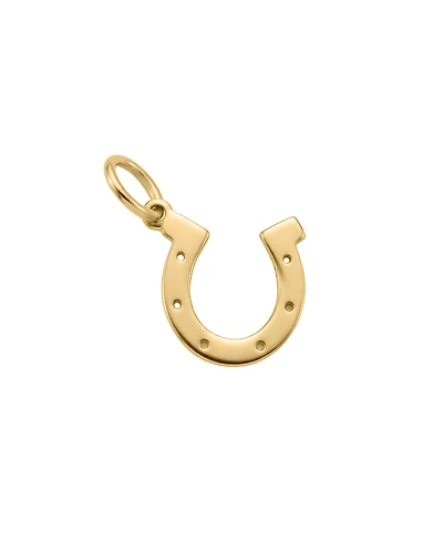 Horseshoe Charm in 10kt Yellow Gold