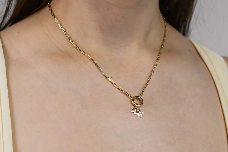 Aquarius Zodiac Charm in 10kt Yellow Gold