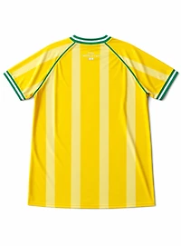 Maillot de Soccer Brésil Femme