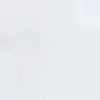 EVA | Débardeur Simple À Col En V