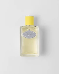 Prada Infusion d'Ylang EDP 100ml