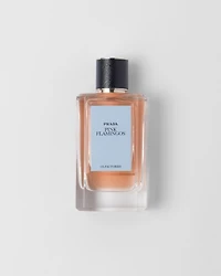 Olfactories - Pink Flamingos EDP 100 ml