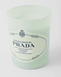 Infusion d'Iris Candle
