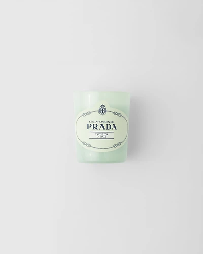 Infusion d'Iris Candle