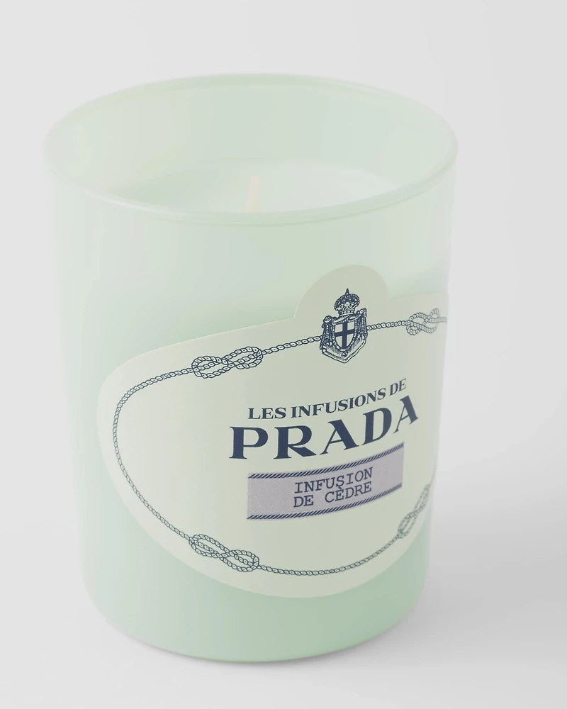 Infusion de Cèdre Candle