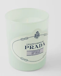Infusion de Cèdre Candle