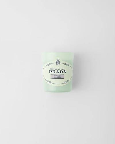 Infusion de Cèdre Candle