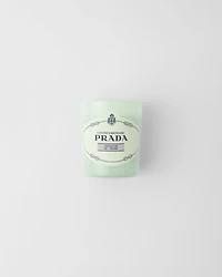 Infusion de Cèdre Candle