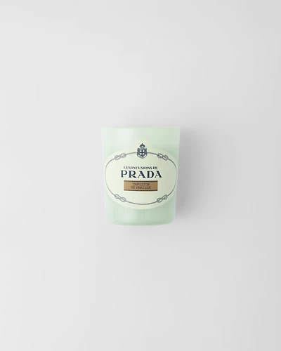 Infusion de Vanille Candle