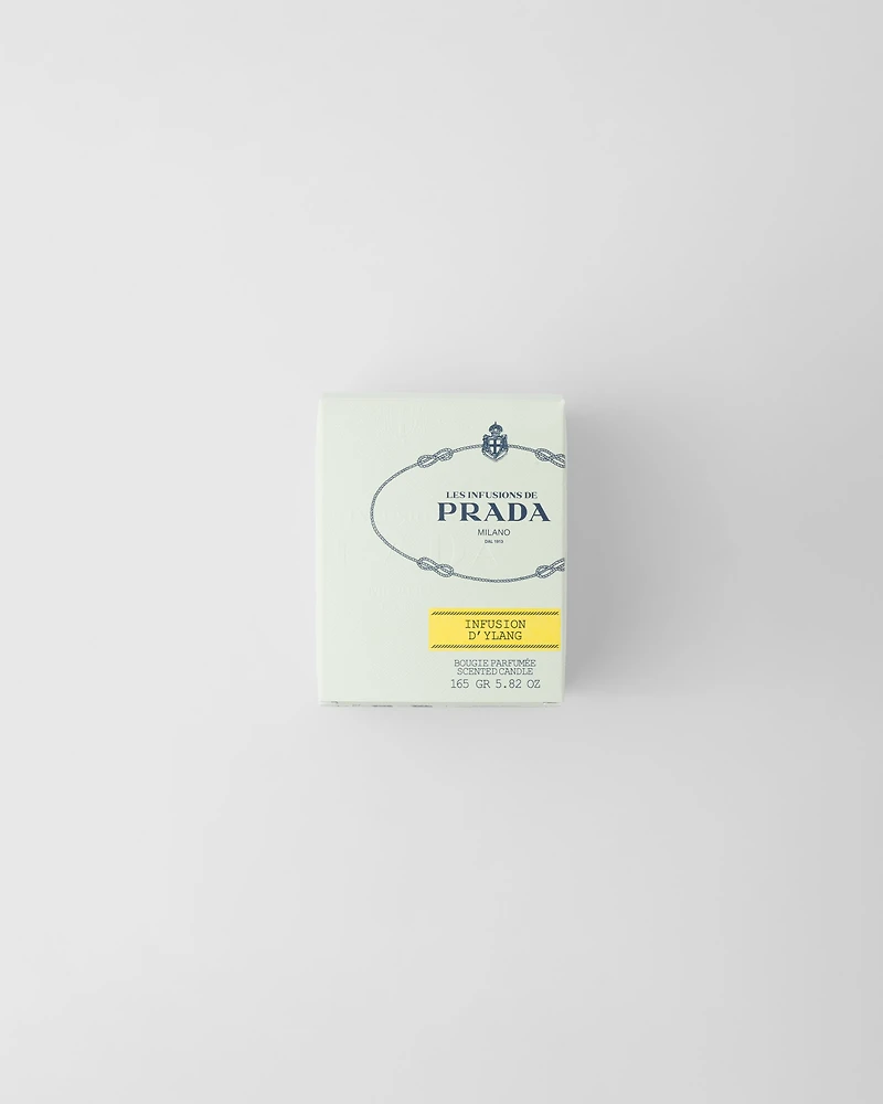 Infusion d'Ylang Candle